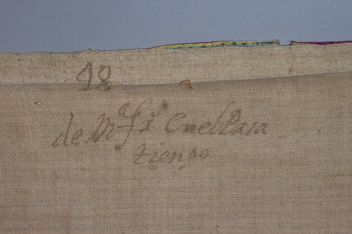 A close-up view of the sleeve of a garment decorated with lion and floral motifs.