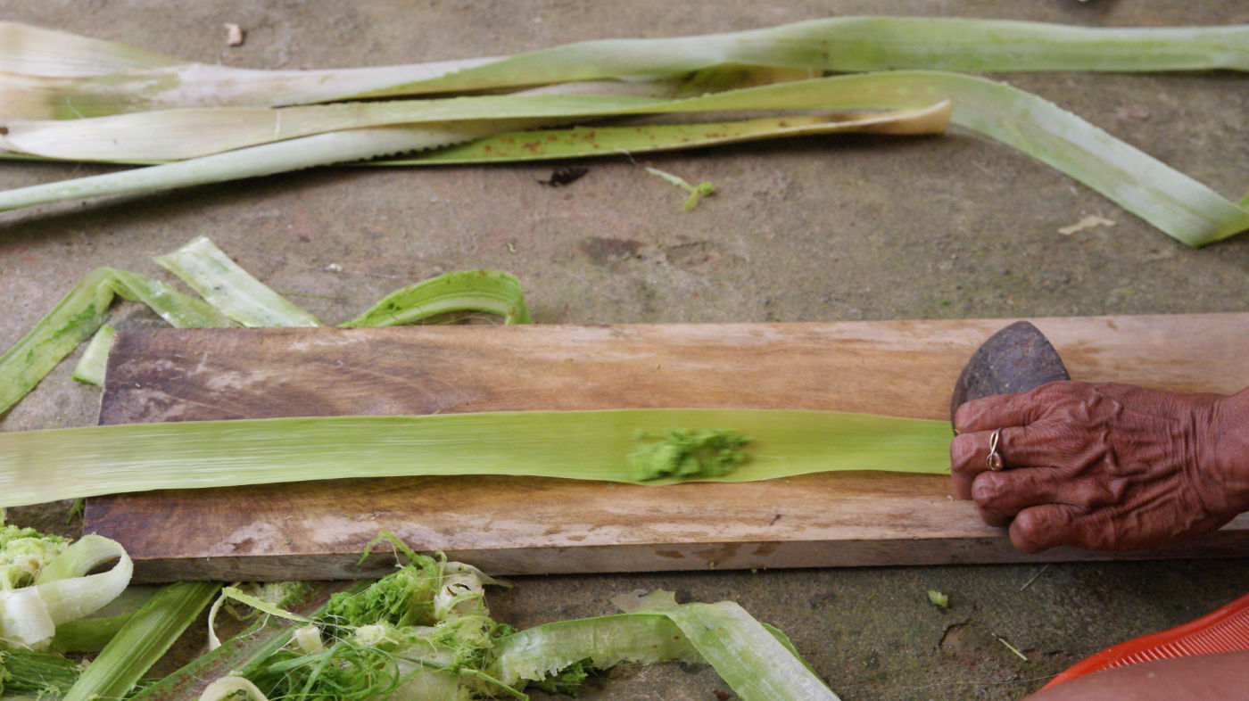 A photo of a hand scraping a leaf with a coconut shell.