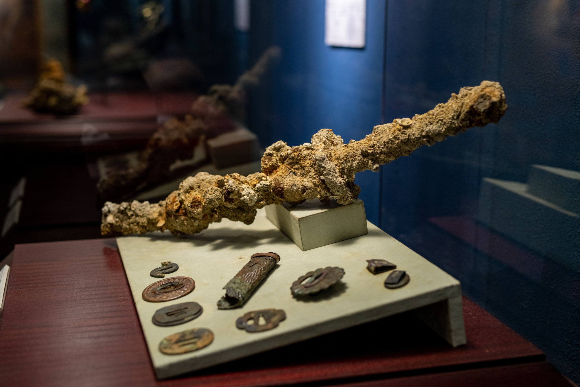 A long, heavily encrusted object is displayed with smaller round, flat objects.
